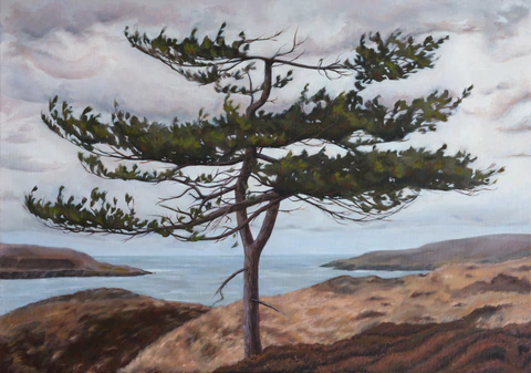 Portrait d’un arbre