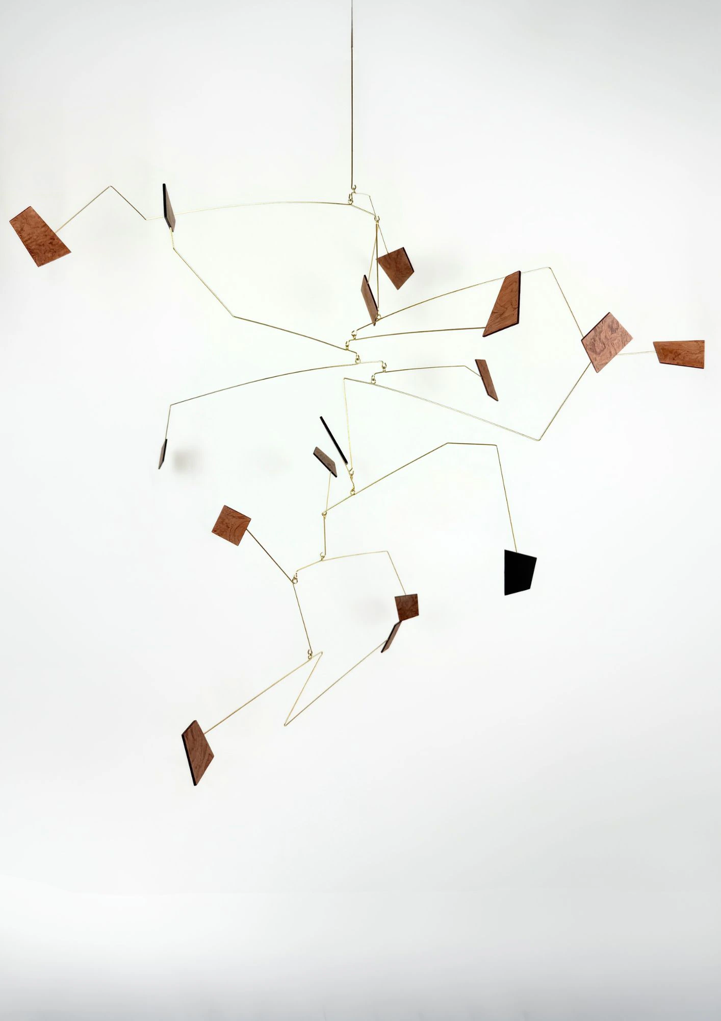 LA LOI DU DÉSORDRE - Thumbnail 5