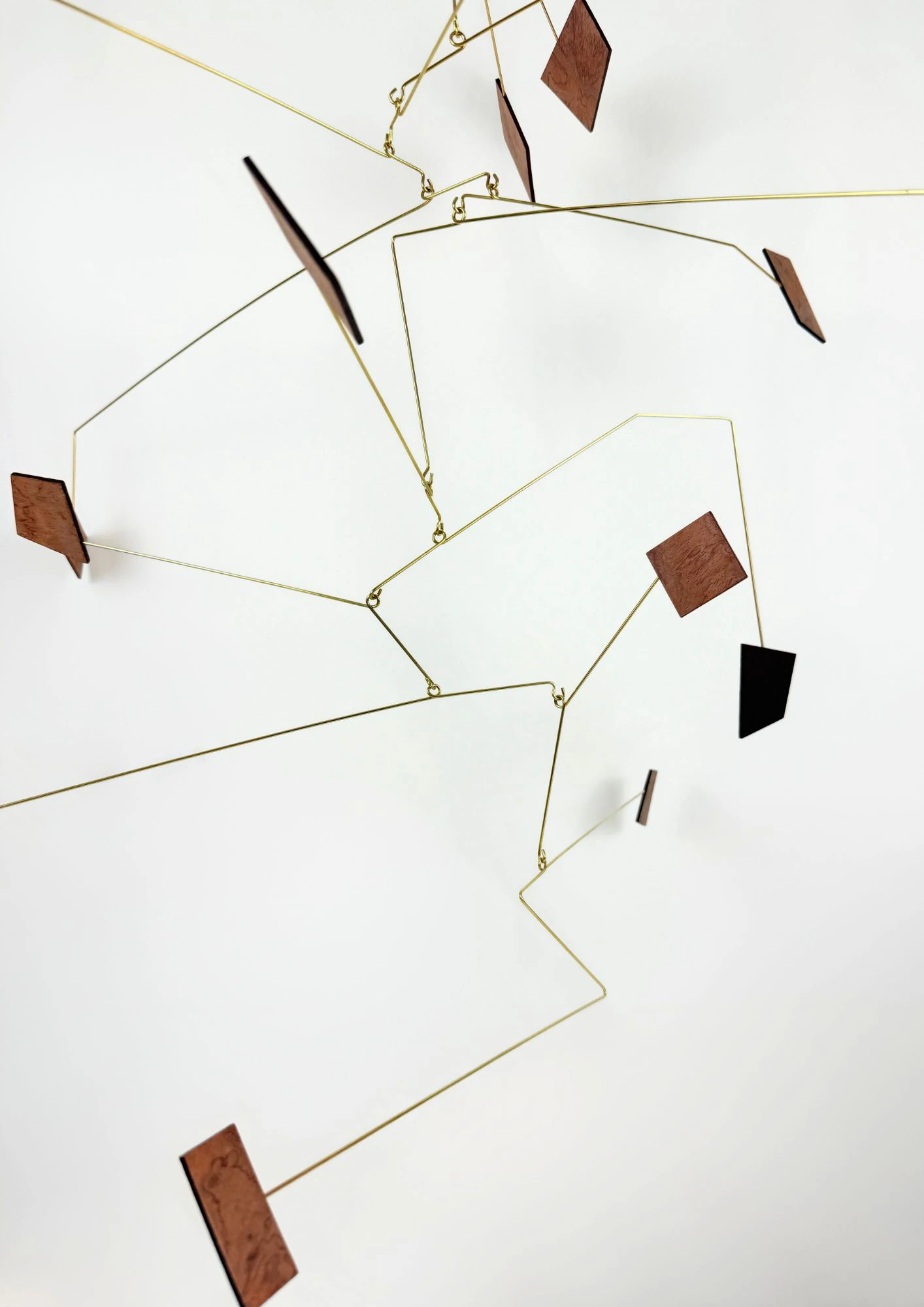 LA LOI DU DÉSORDRE - Thumbnail 7