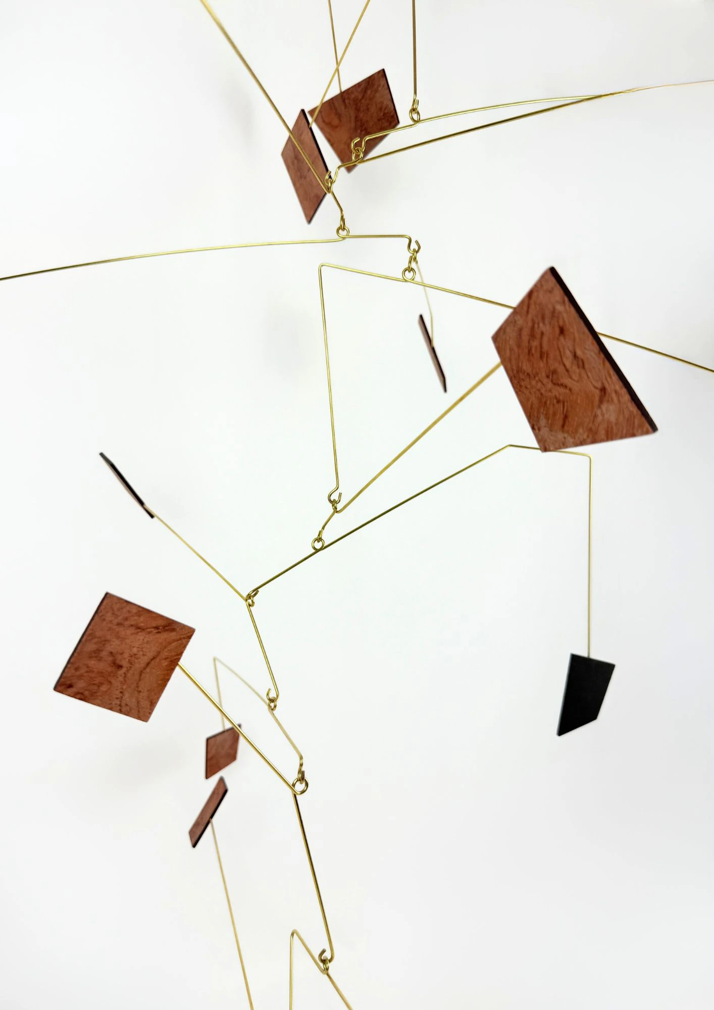 LA LOI DU DÉSORDRE - Thumbnail 8