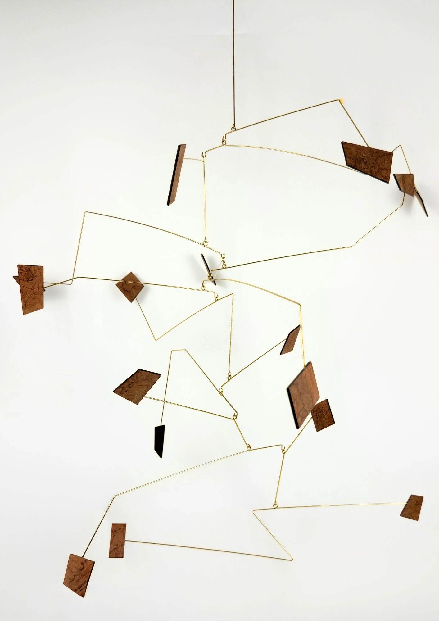 LA LOI DU DÉSORDRE - Thumbnail 3