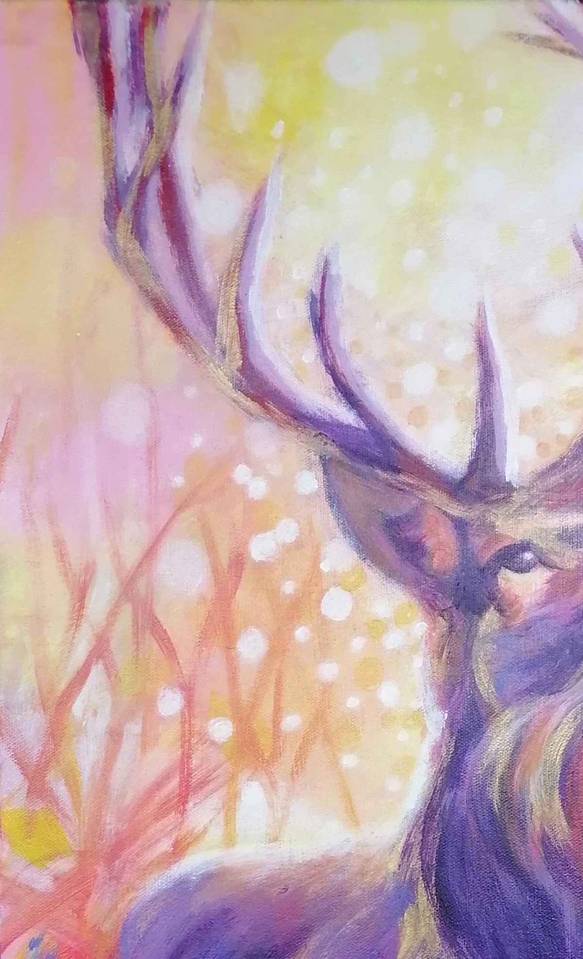 La Magie est de Retour - Thumbnail 5