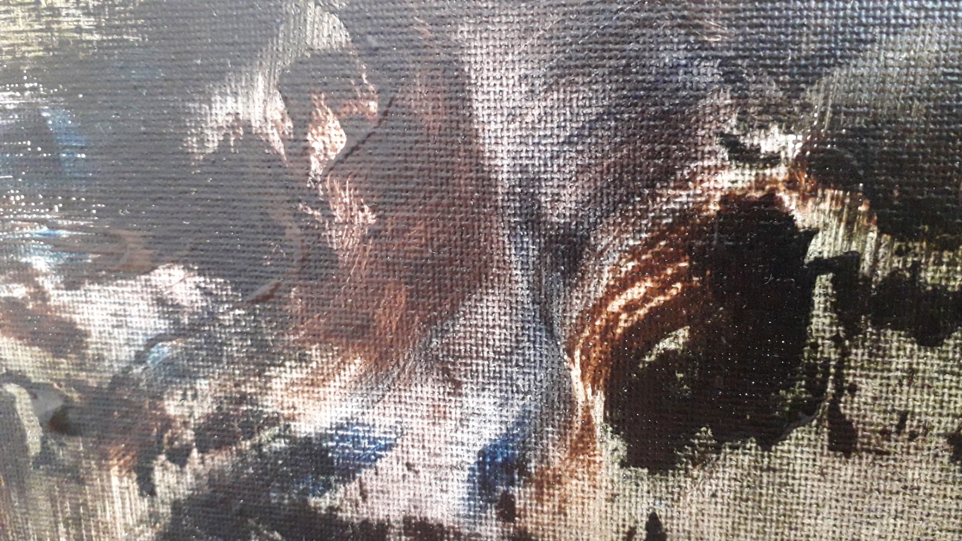 Elévation - Thumbnail 7