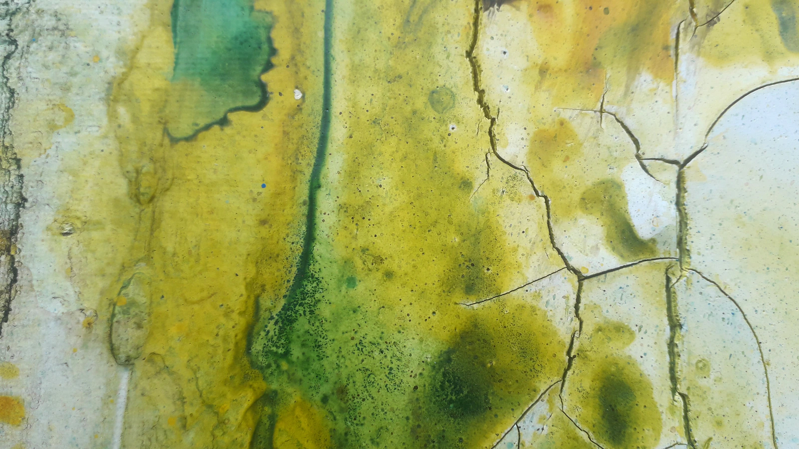 Forêt secrète 3 - Thumbnail 7