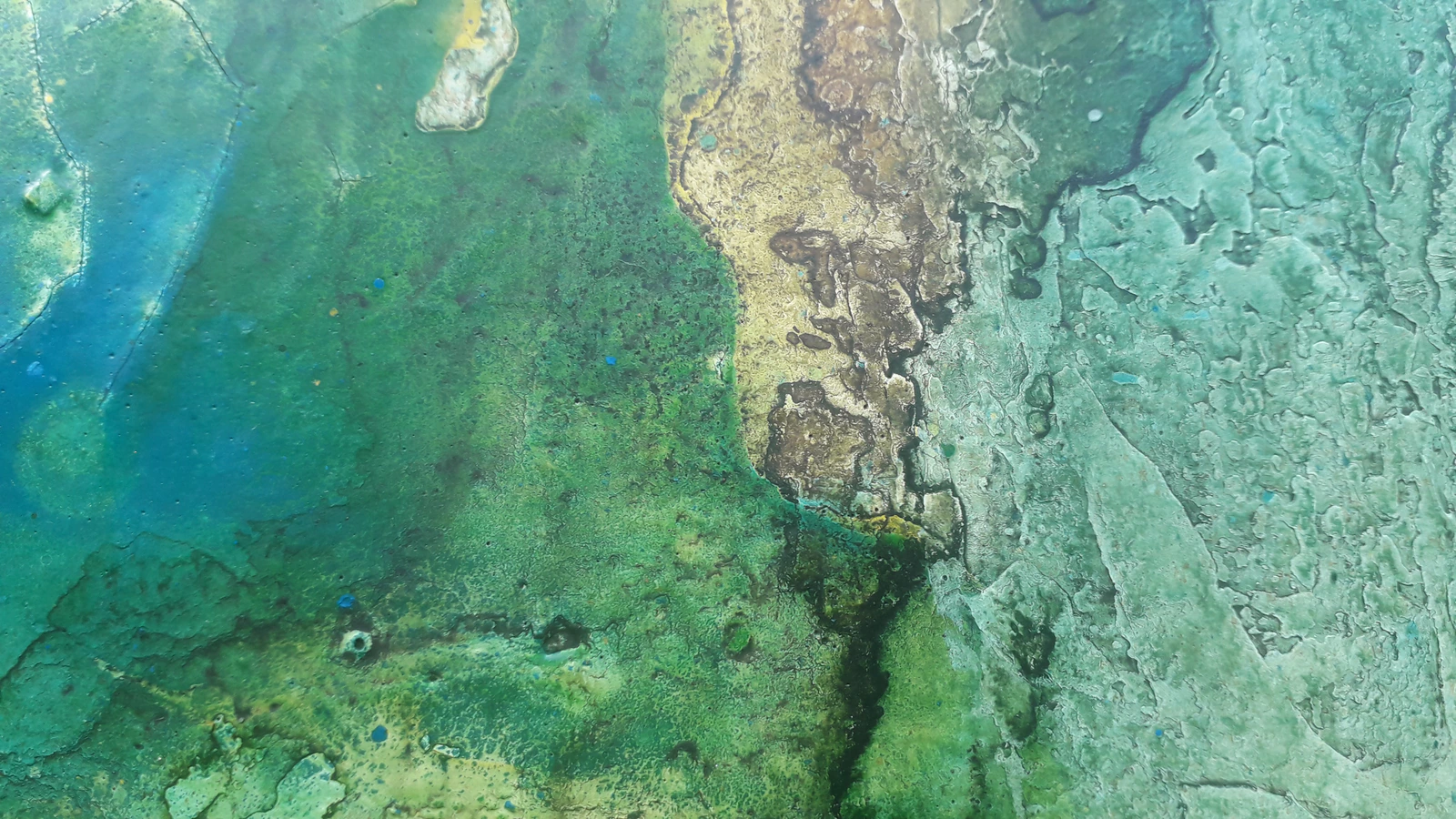 Forêt secrète 3 - Thumbnail 8