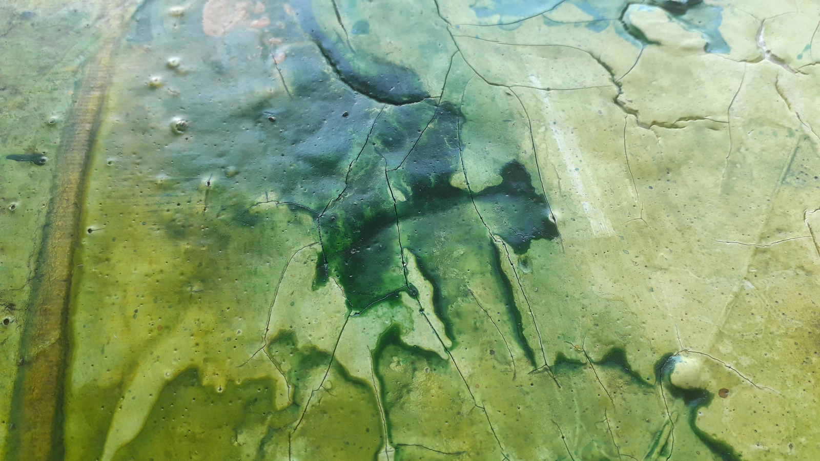 Forêt secrète 3 - Thumbnail 3