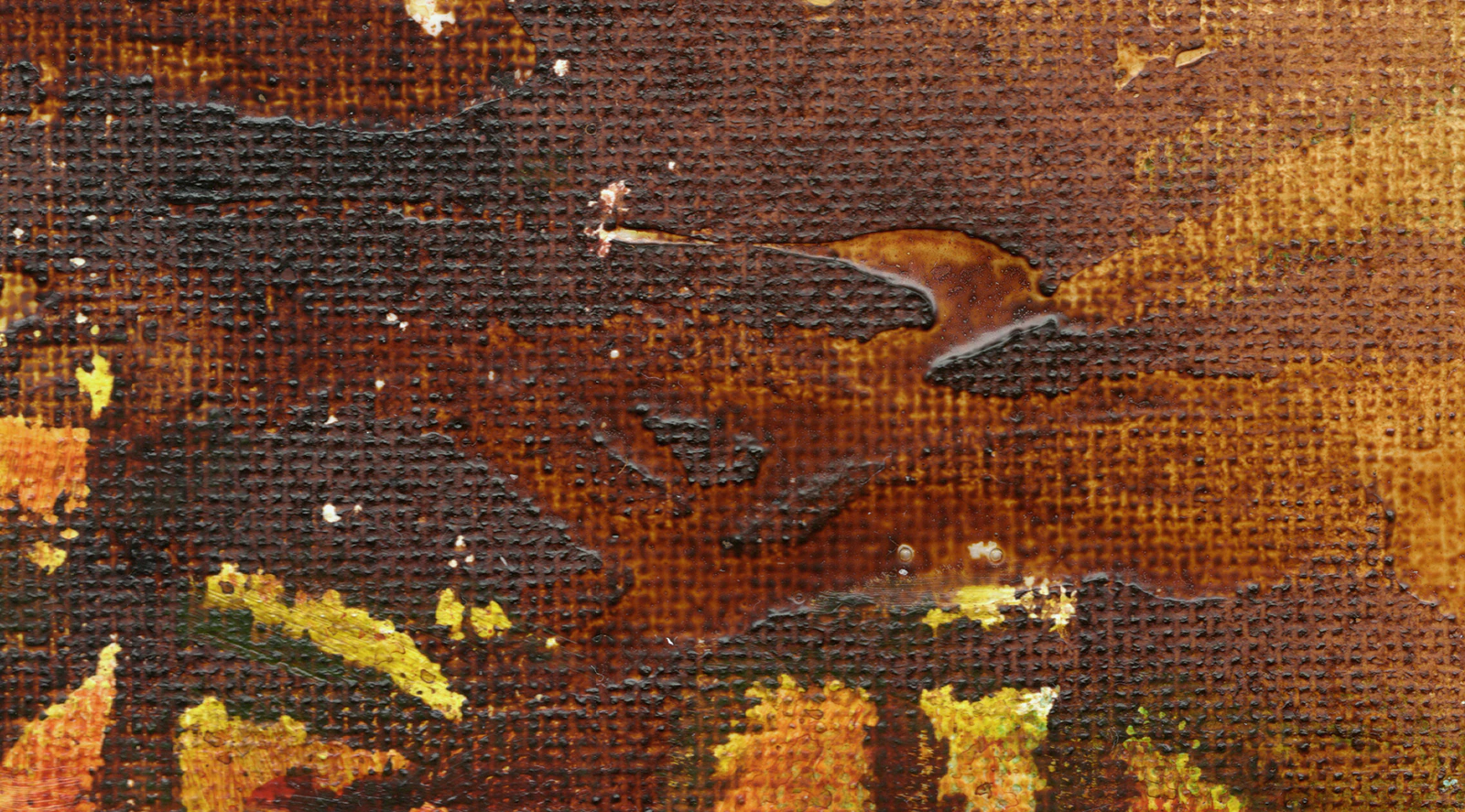 Nature secrète 3 - Thumbnail 4