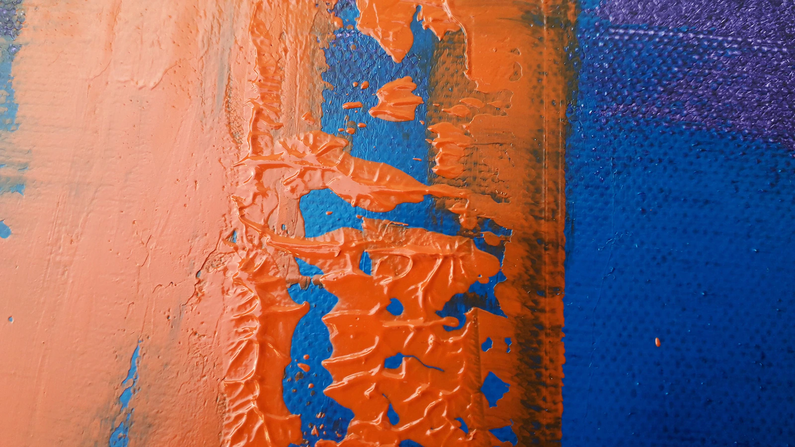 Forêt 7 - Thumbnail 7