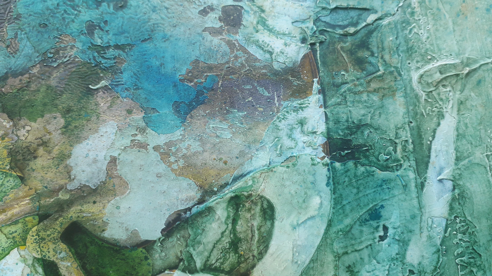 Forêt secrète 3 - Thumbnail 9