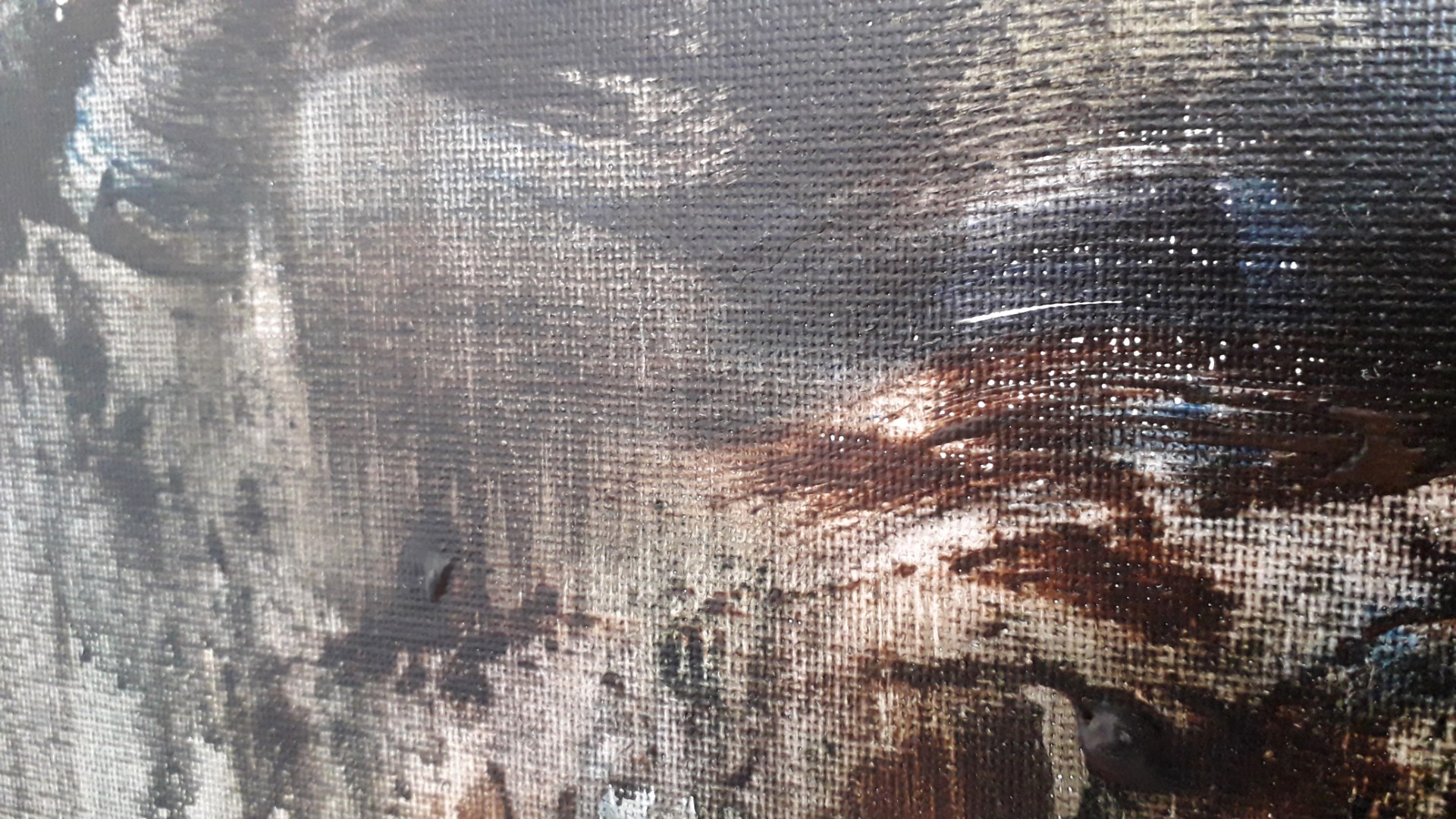 Elévation - Thumbnail 11