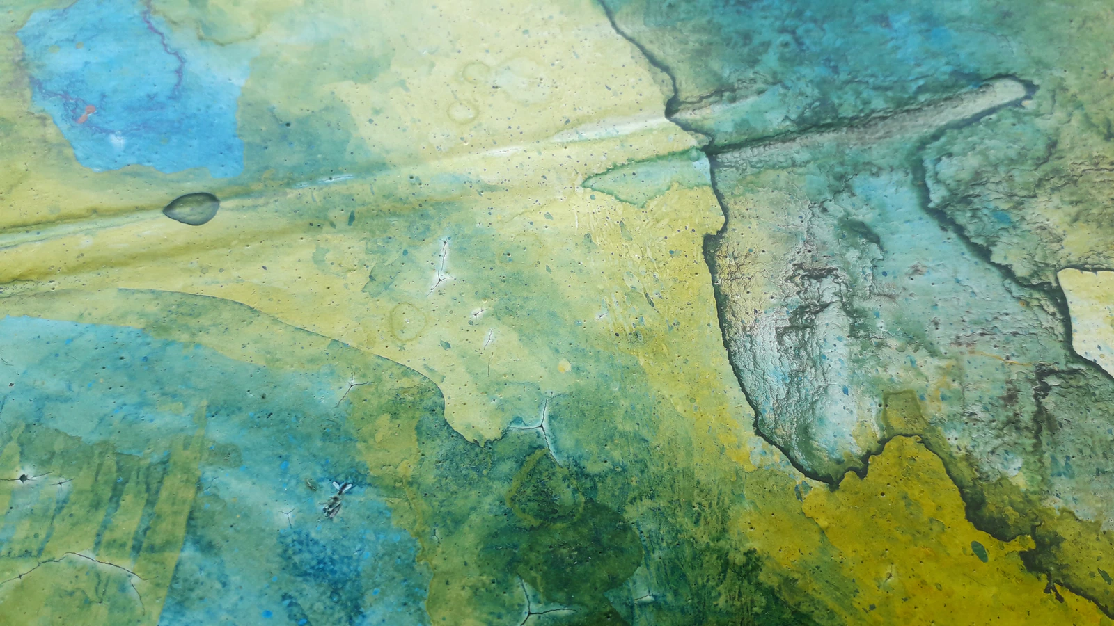 Forêt secrète 3 - Thumbnail 4