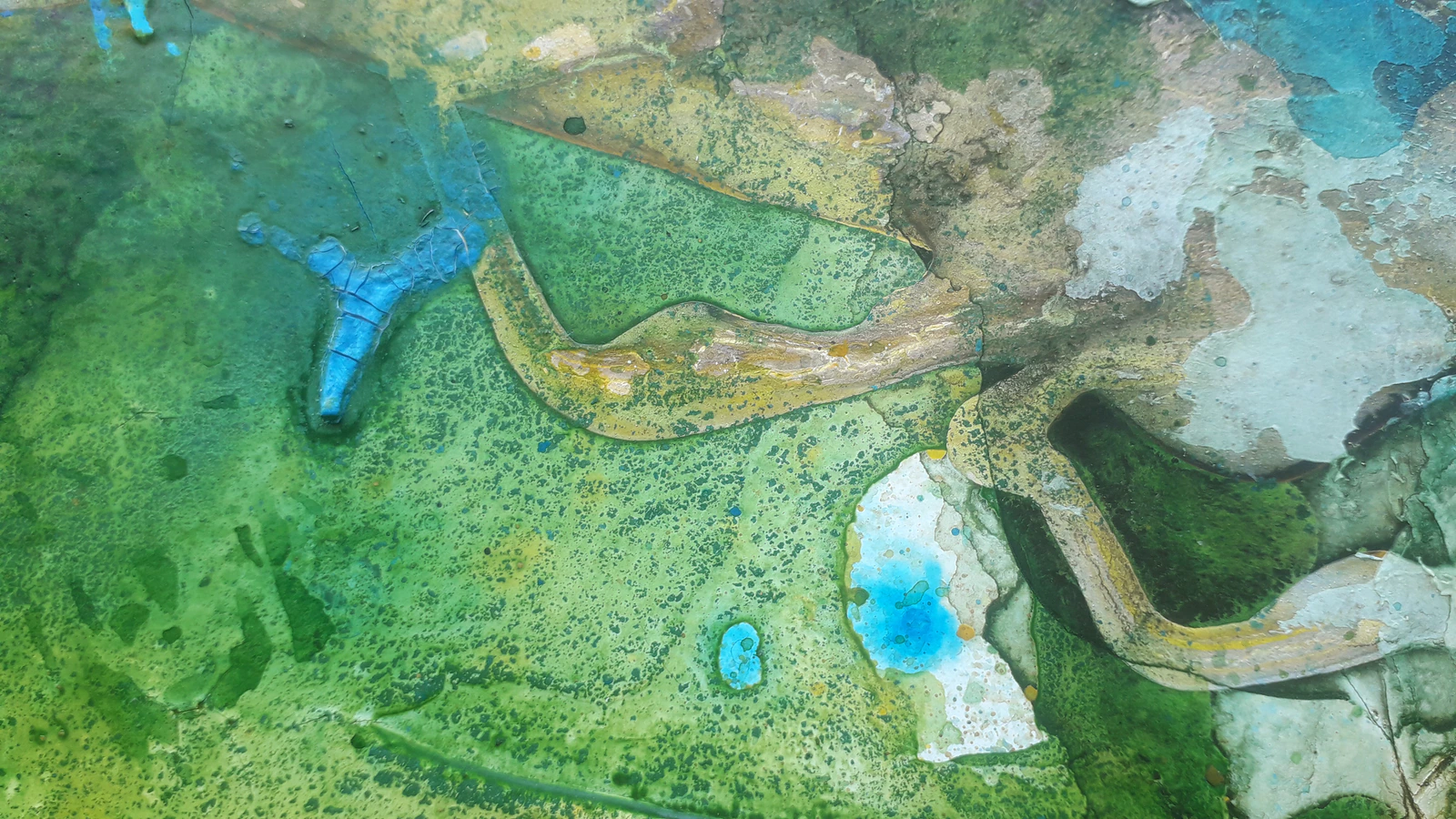 Forêt secrète 3 - Thumbnail 12