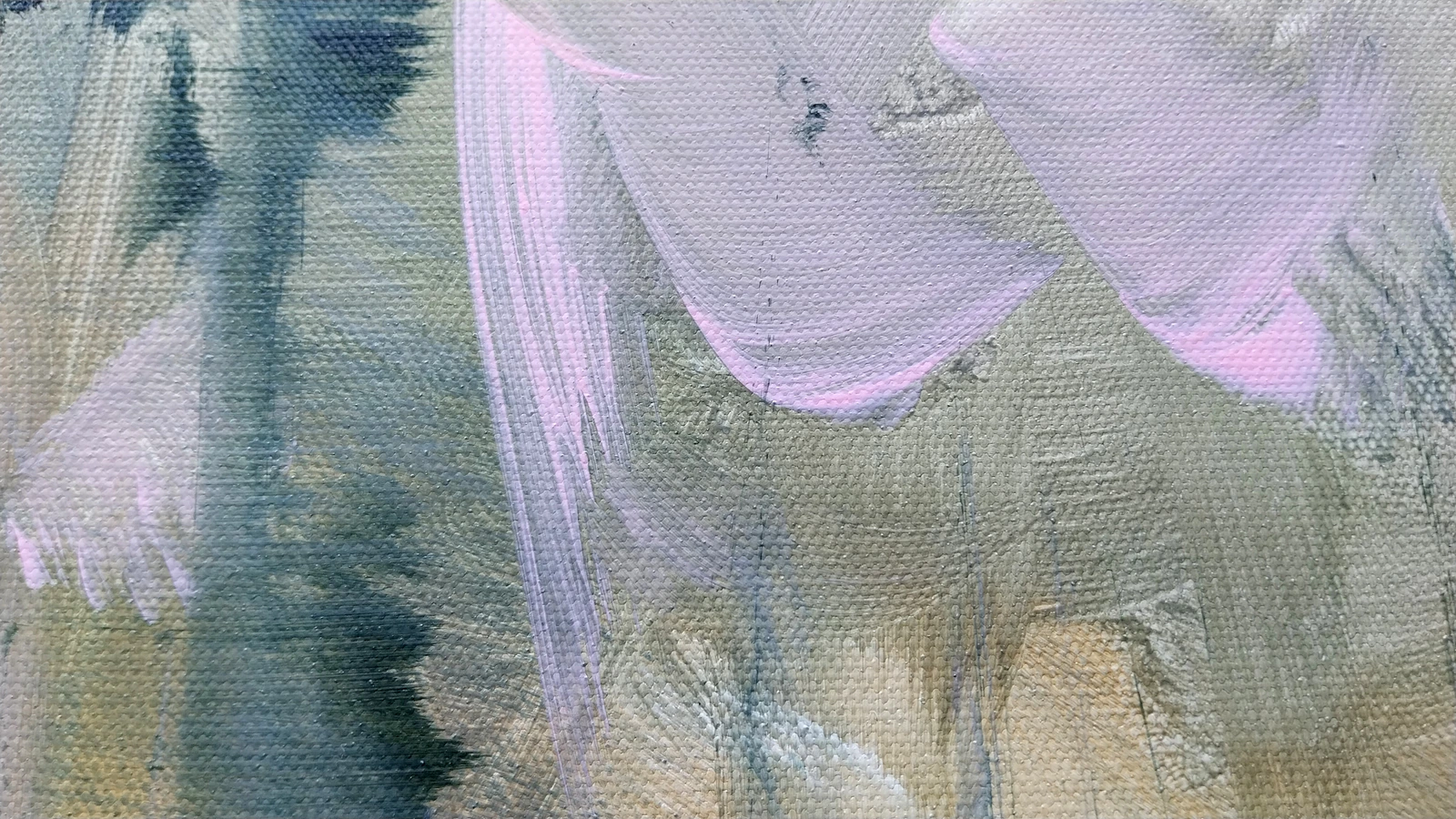 Eden 12 - Thumbnail 18