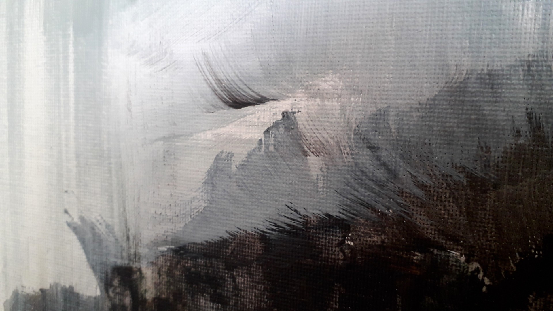 Elévation - Thumbnail 5