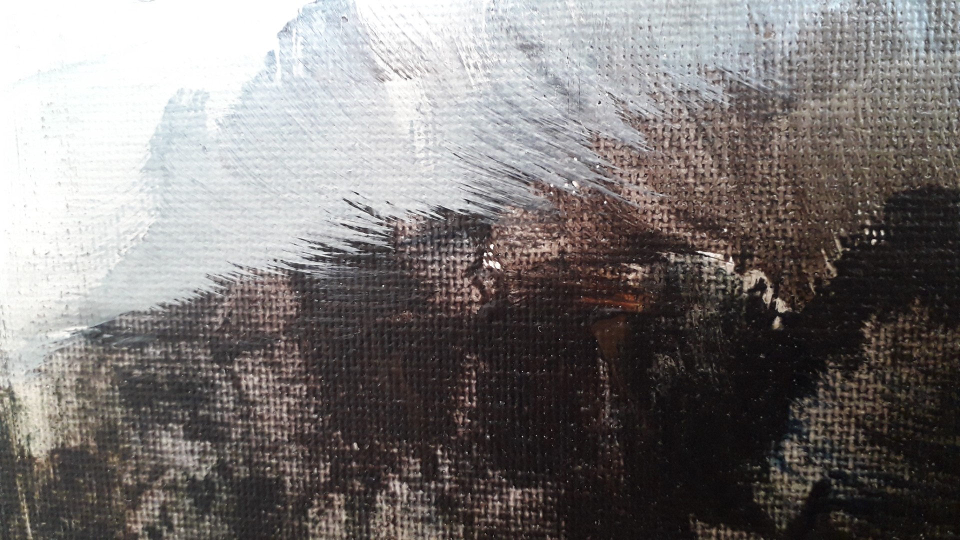 Elévation - Thumbnail 8