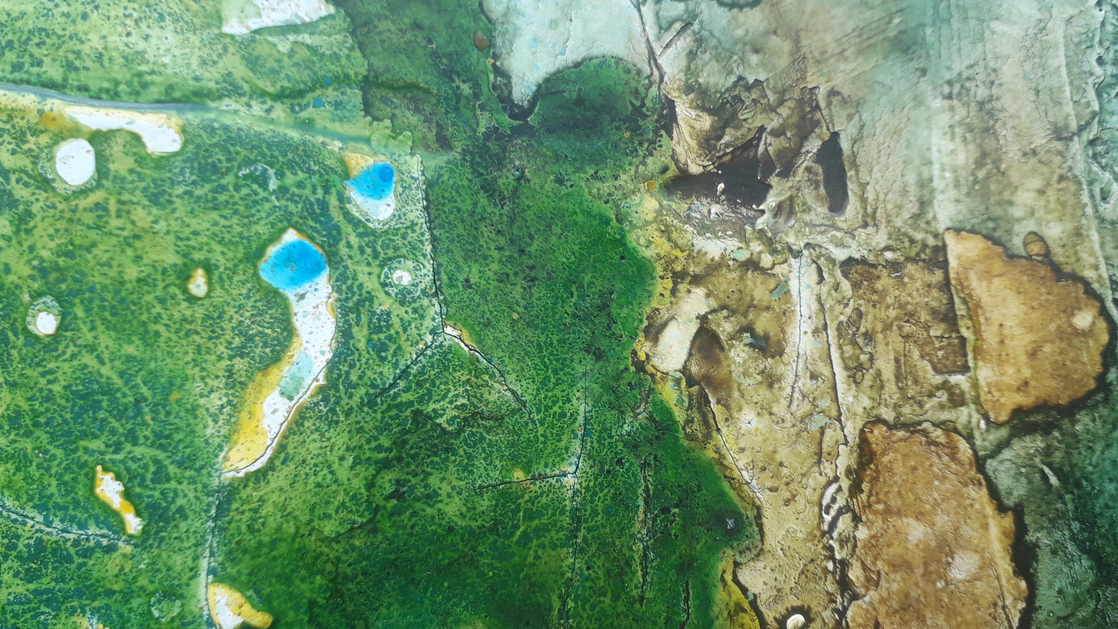 Forêt secrète 3 - Thumbnail 13