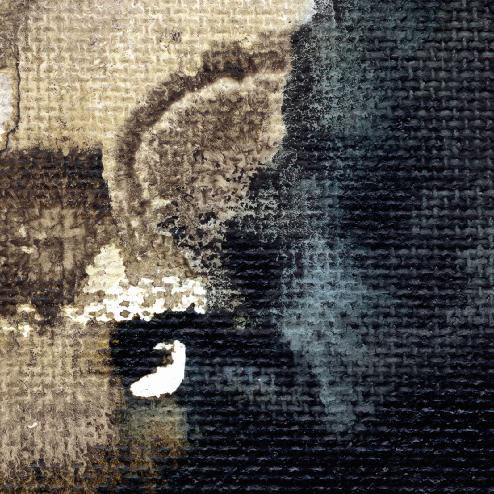 Forêt secrète 1 - Thumbnail 3