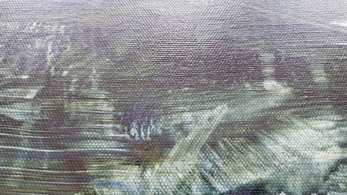 Eden 12 - Thumbnail 15