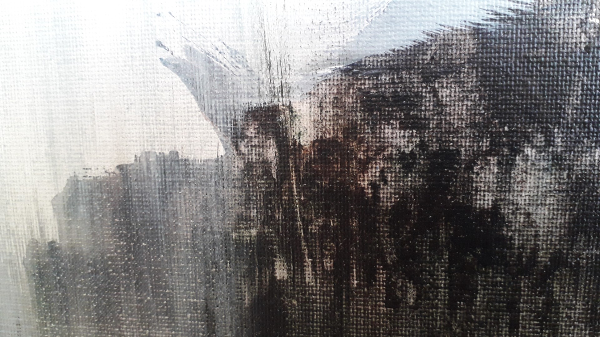 Elévation - Thumbnail 3