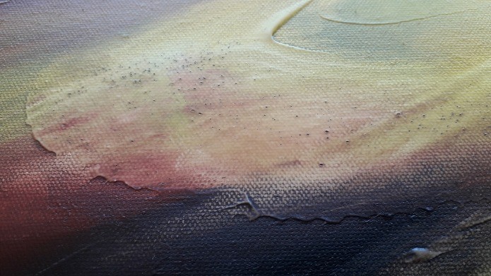 Plaine - Thumbnail 7