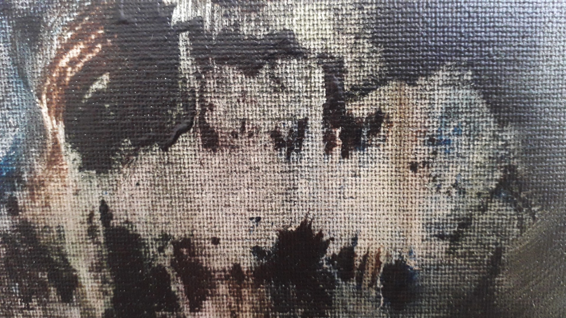 Elévation - Thumbnail 10