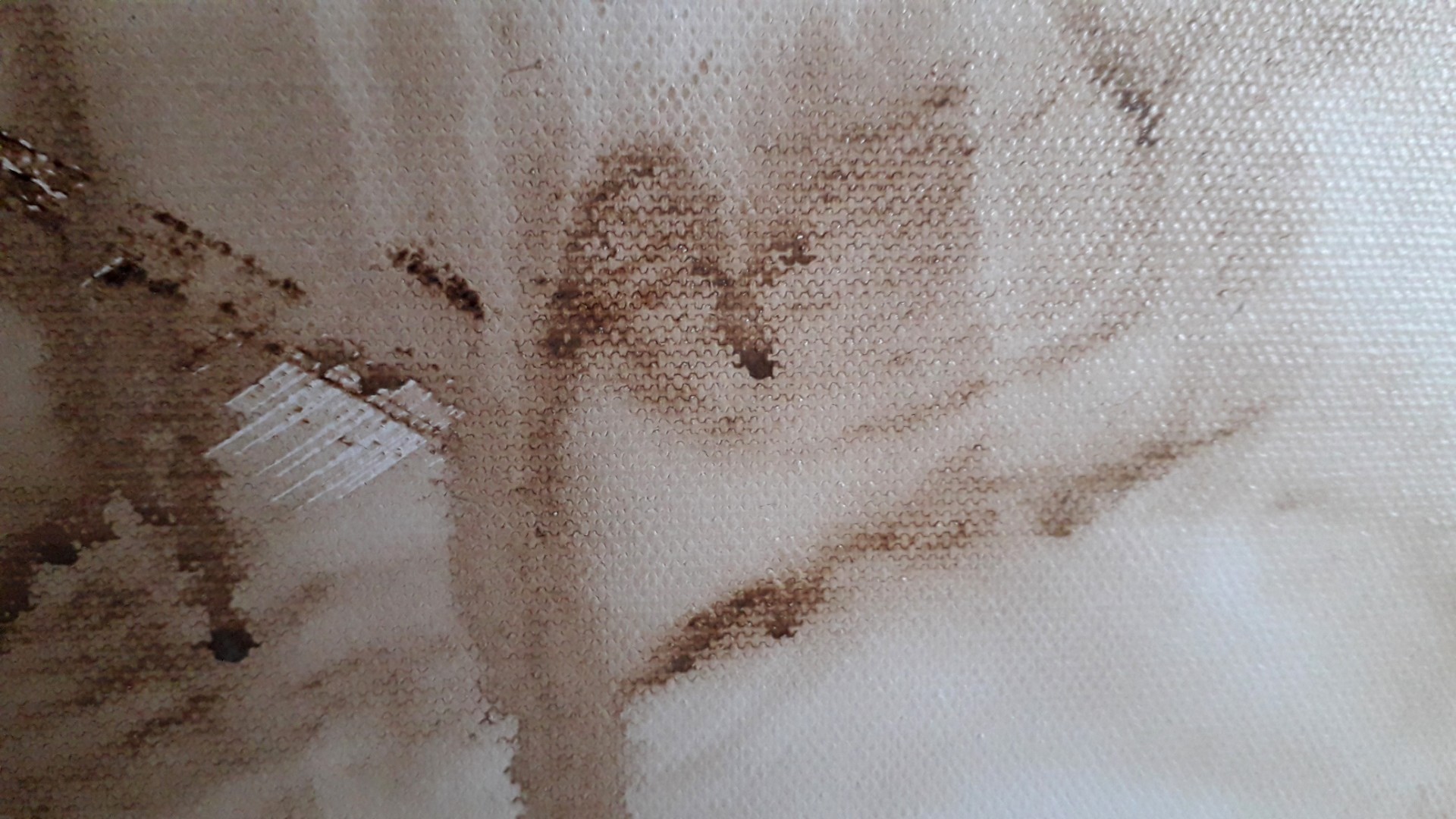 Quintessence - Thumbnail 8