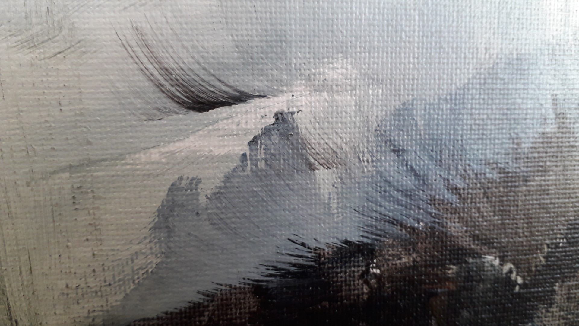 Elévation - Thumbnail 2