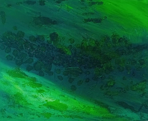 La Canopée