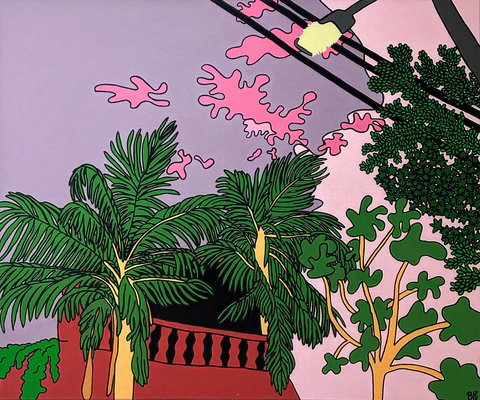 Coucher de Soleil à Buenos Aires