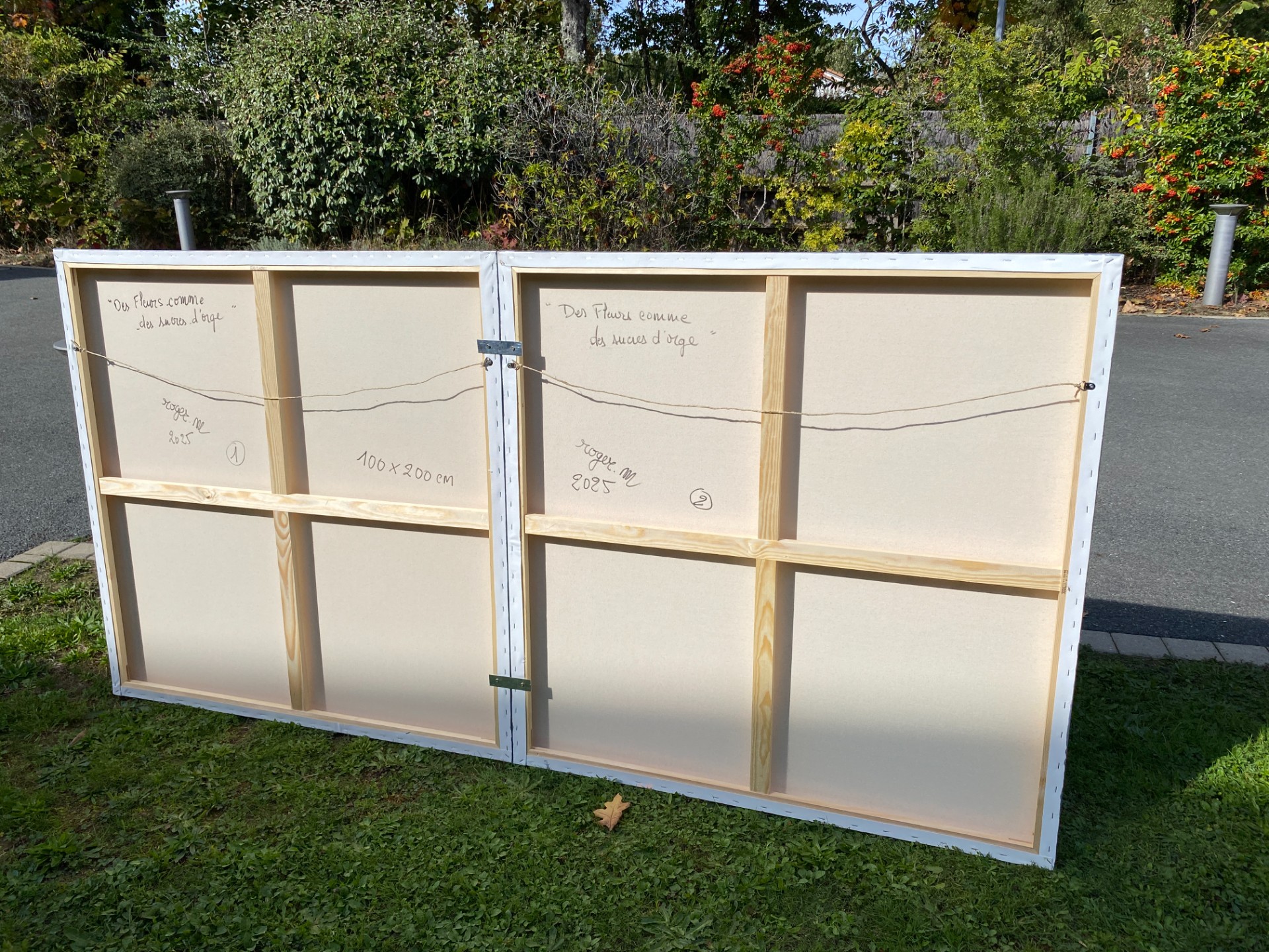 Des Fleurs comme des Sucres d'orge - Thumbnail 15