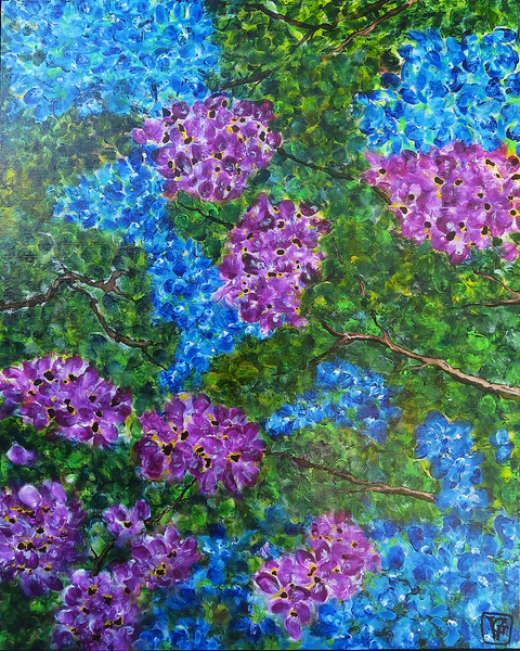 Les hortensias de Masaï