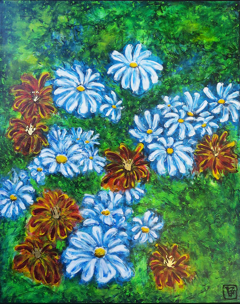 Marguerites bleues