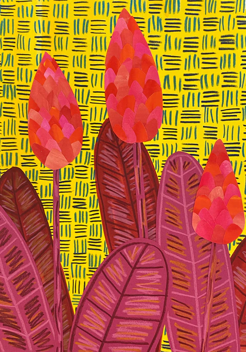 Ginger Flower