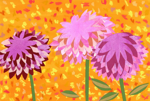 Dahlia
