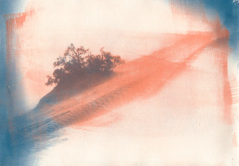 Lone Desert
