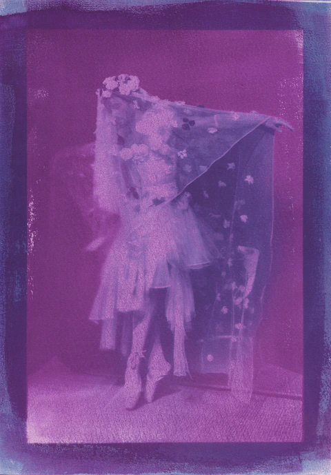 Vicompte Harbourg, Pride Bride
