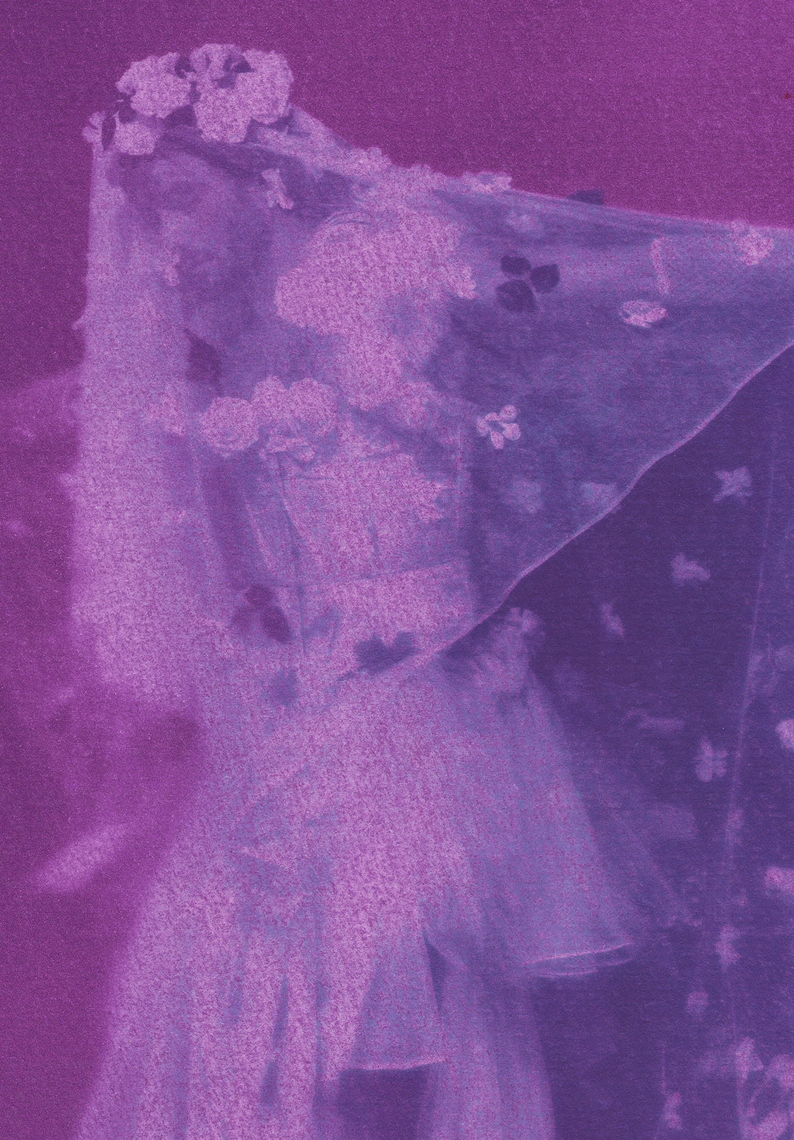 Vicompte Harbourg, Pride Bride - Thumbnail 2