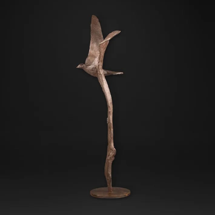 l'Oiseau des Cimes - profil