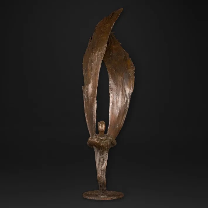 Des ailes me poussent - de face