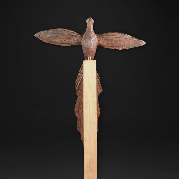 Oiseau de Paradis - de face