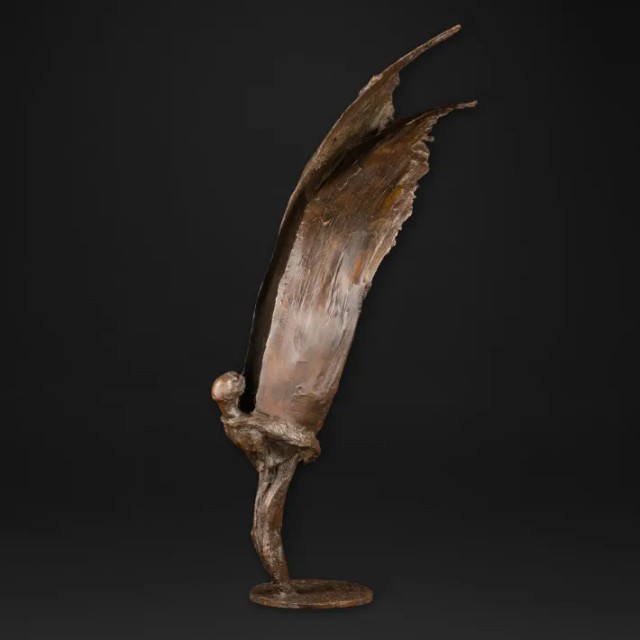 Des ailes me poussent