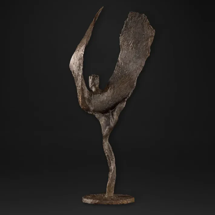 The Flying Lady - profil