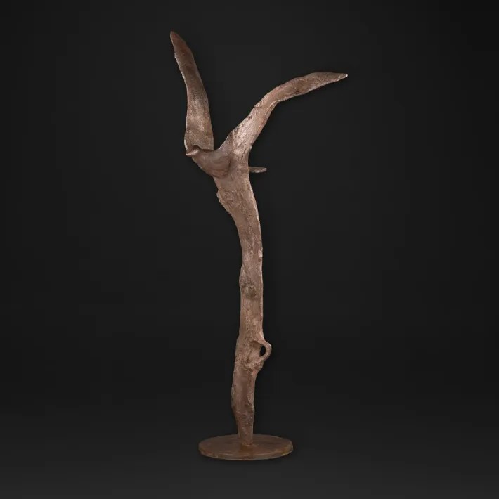 L'Oiseau des Cimes - profil