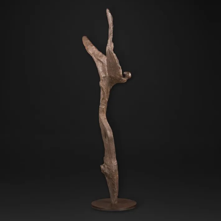 La Danse du Vent - profil