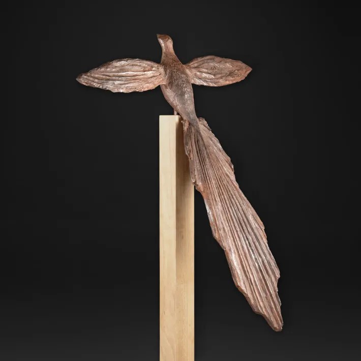 Oiseau de paradis - de dos