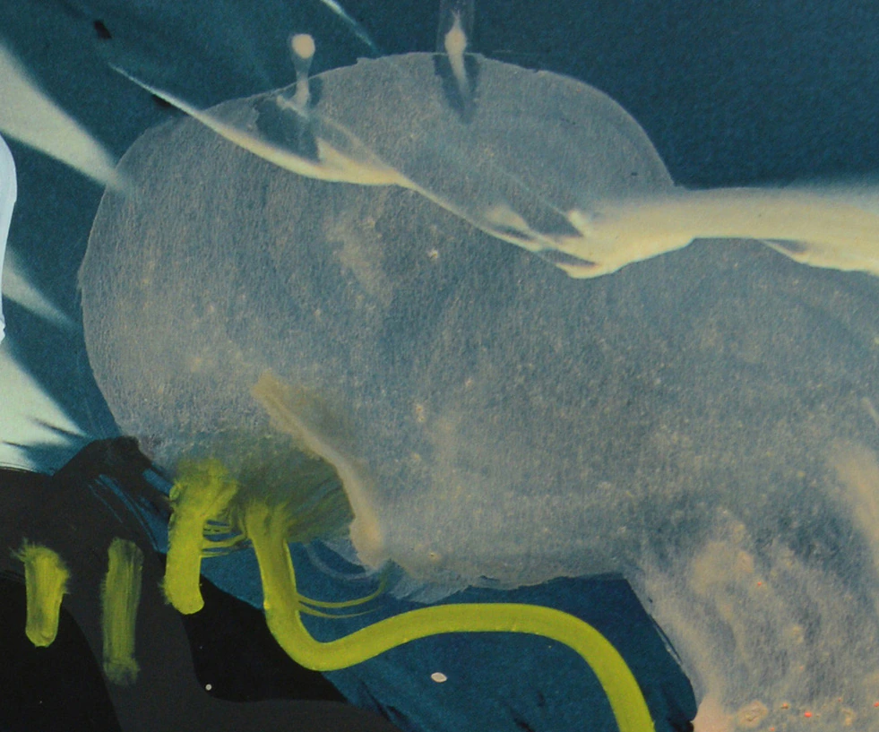 Improvisation volcanique 2024 480 - Thumbnail 4