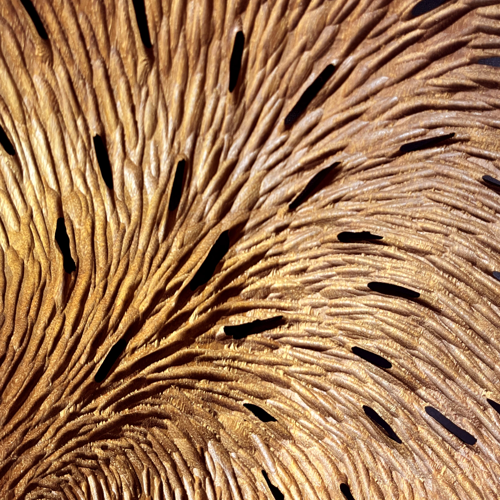 Dentelle iroko ovale - Thumbnail 3