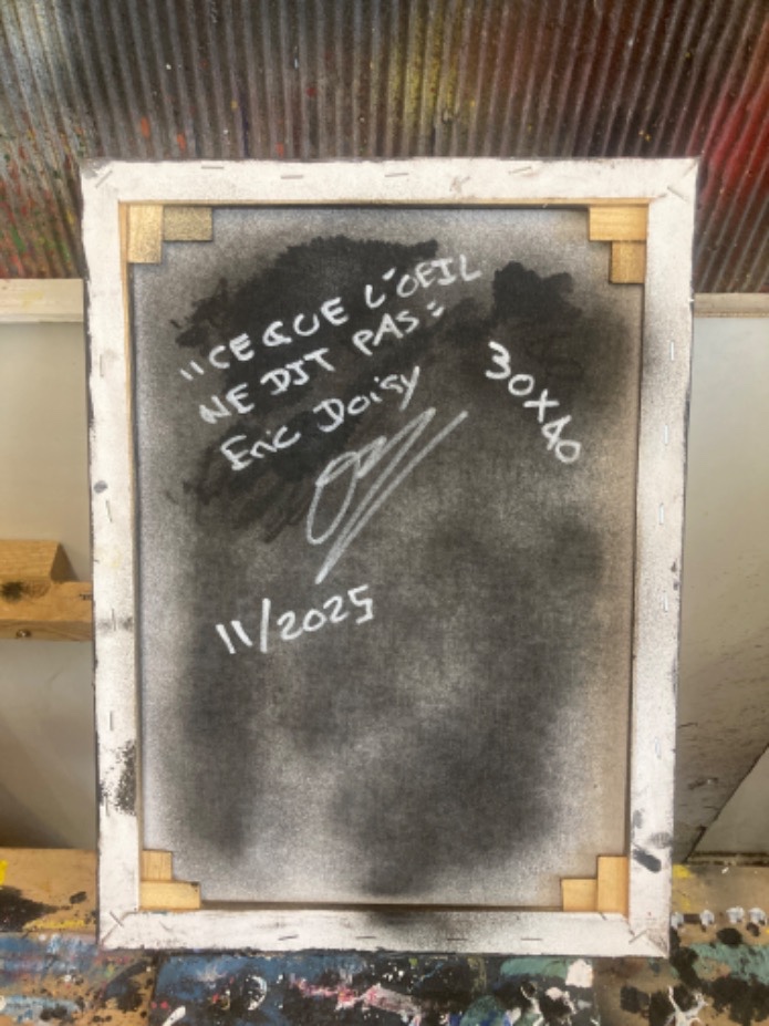 Ce que l'oeil ne dit pas - Thumbnail 8