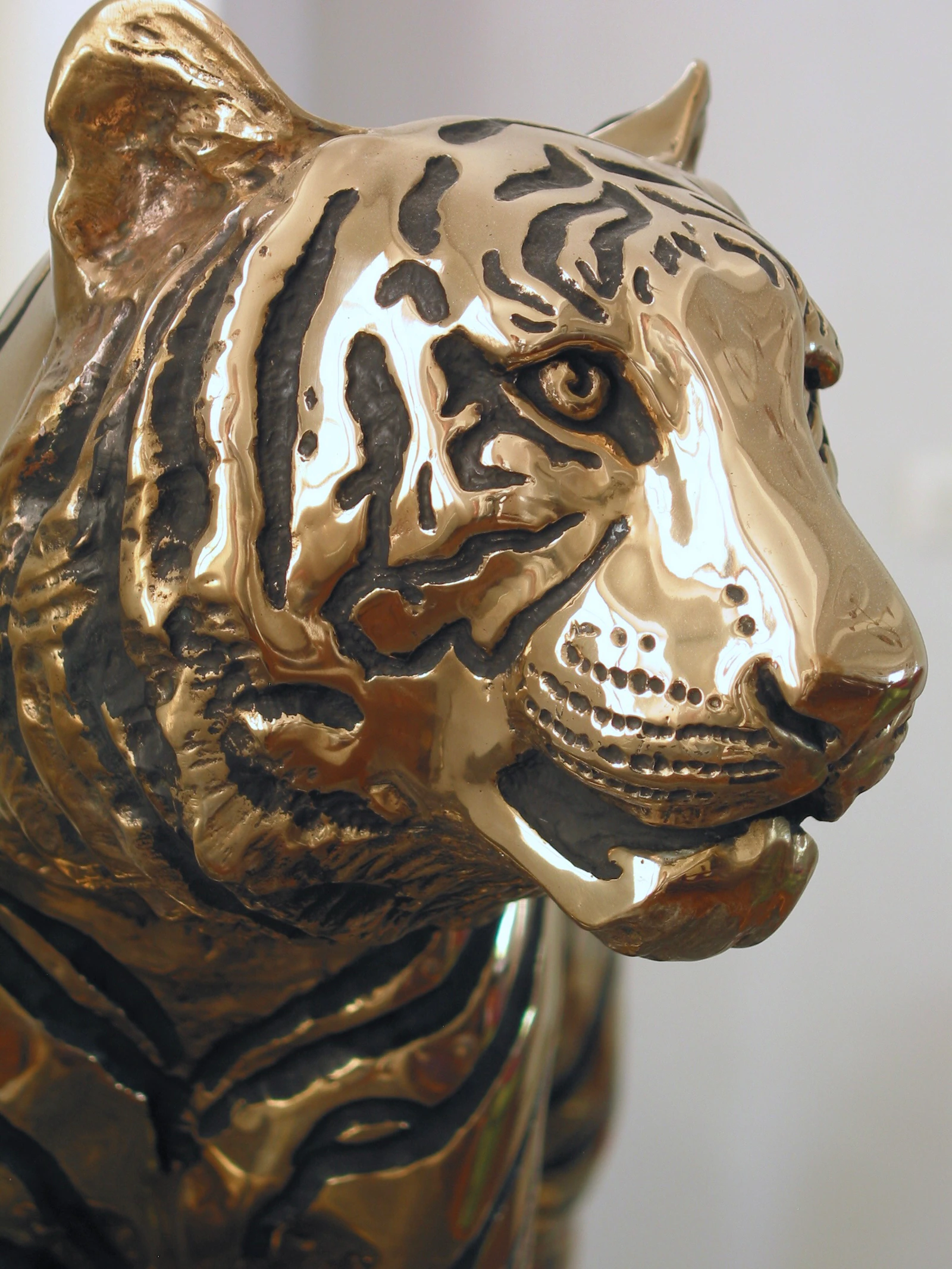 TIGRE - Thumbnail 4