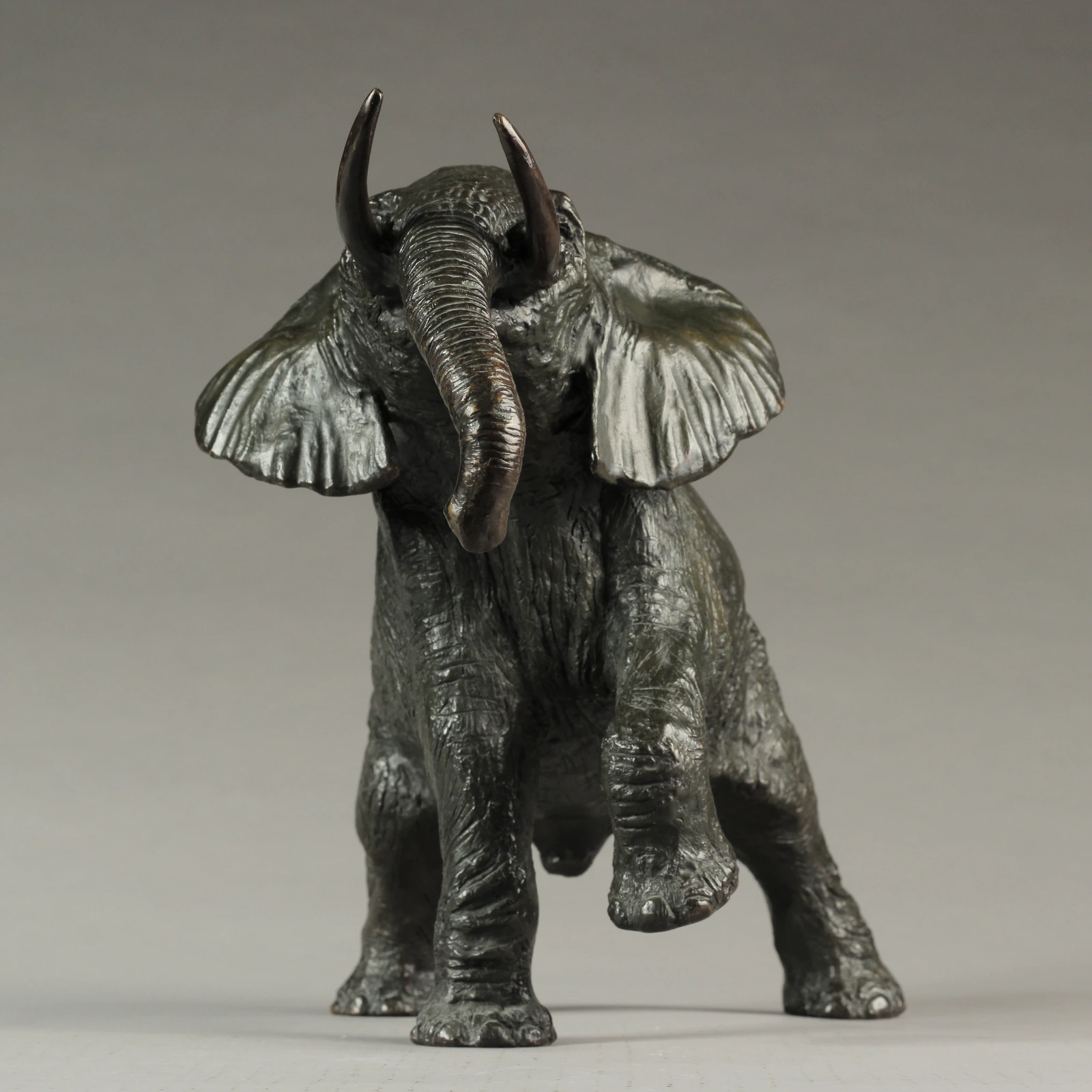 ÉLÉPHANT D'AFRIQUE - Thumbnail 2